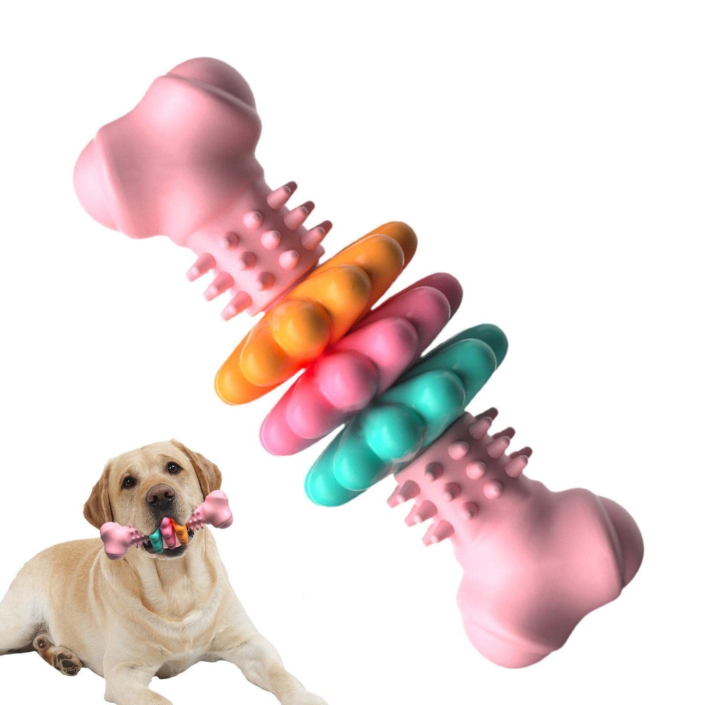 Indestructible TPR Dog Bone Toy – Chew & Teeth Cleaning – Best Puppy Pick - Best Puppy Pick