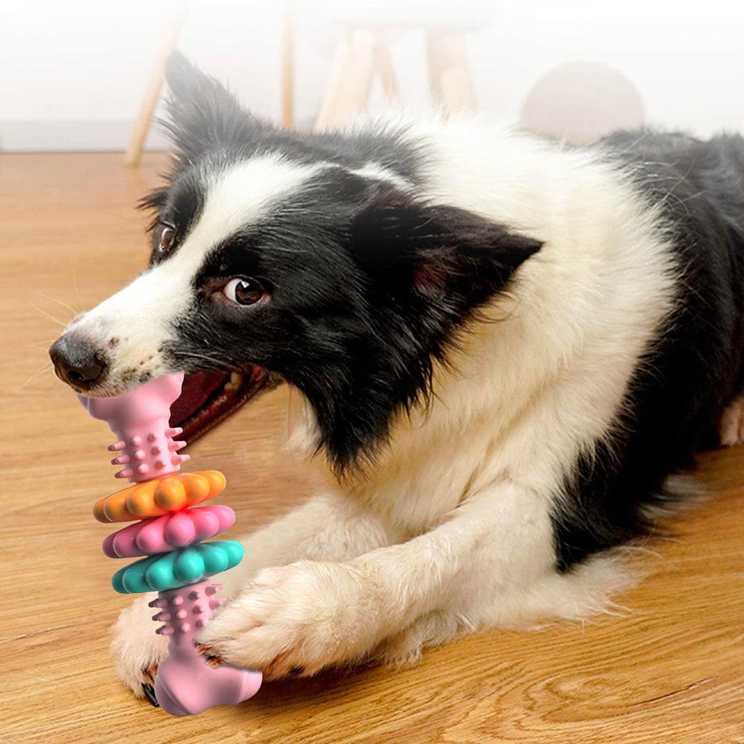 Indestructible TPR Dog Bone Toy – Chew & Teeth Cleaning – Best Puppy Pick - Best Puppy Pick