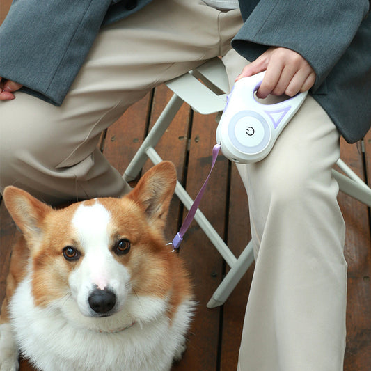 Retractable Dog Leash with Collar & LED Spotlight - Best Puppy Pick