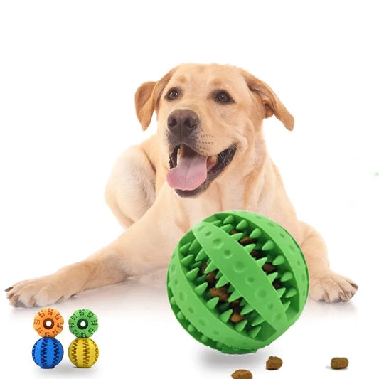 Interactive Rubber Chew Ball for Dogs – Best Puppy Pick - Best Puppy Pick